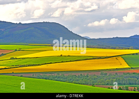 Campagna pianura Limagne Auvergne del Massiccio Centrale della Francia Foto Stock