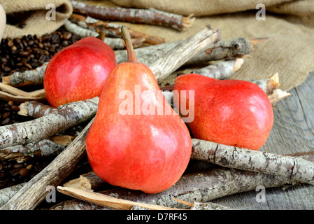 Leggere dolci pere in legno essiccato e sacco Foto Stock