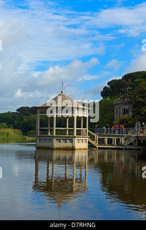 Il lago di Massaciuccoli, Torre del Lago Puccini, Viareggio, Provincia di Lucca, Toscana Italia Europa. Foto Stock