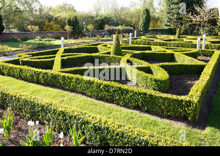 Formal box hedging  in ornamental design  in Stratford Warwickshire England Foto Stock