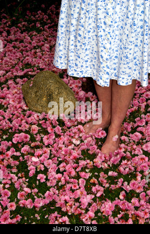 A piedi nudi donna in piedi su un tappeto di caduti giapponese di rosa fiori di ciliegio Foto Stock