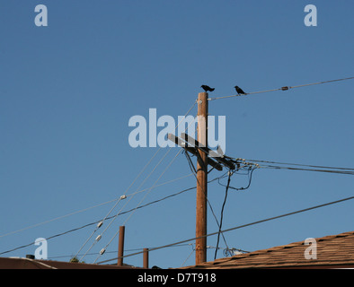 Il Disordine urbano e Crowsville Foto Stock