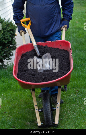Lavori primaverili in giardino l'uomo spinge tutta la carriola con un terreno e una pala vista frontale dall'alto verticale negli Stati Uniti ad alta risoluzione Foto Stock