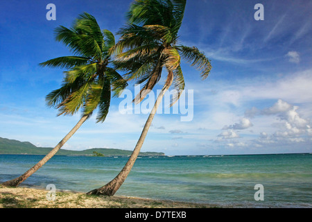Las Galeras beach, penisola di Samana, Repubblica Dominicana Foto Stock