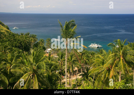 Apo island, Filippine, Sud-est asiatico Foto Stock