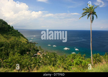 Apo island, Filippine, Sud-est asiatico Foto Stock