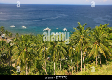 Apo island, Filippine, Sud-est asiatico Foto Stock