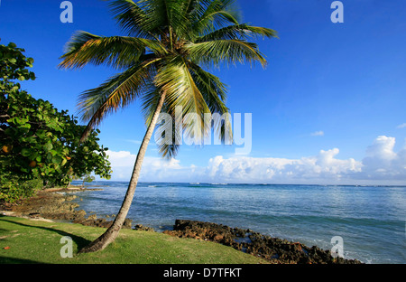 Las Galeras beach, penisola di Samana, Repubblica Dominicana Foto Stock