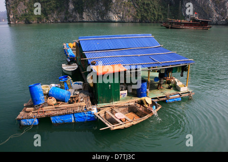 Flottante il villaggio di pesca di Halong Bay, Vietnam Foto Stock