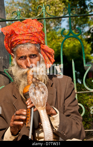 Il serpente incantatore in Delhi India Foto Stock