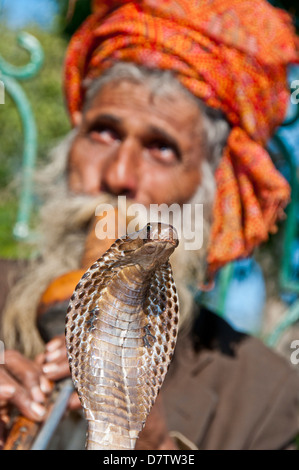 Il serpente incantatore in Delhi India Foto Stock