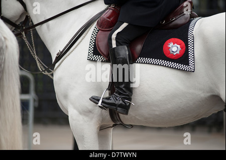 Montate la Metropolitan Police officer in servizio durante l'annuale dello stato di apertura del Parlamento. Foto Stock