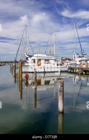 Porto di Chichester, a estuario, West Sussex, in Inghilterra, Regno Unito Foto Stock