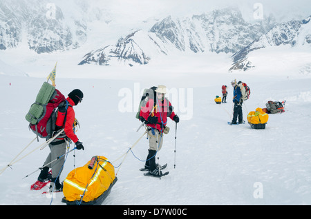 Lasciare il campo base, escursione di alpinismo sul Monte McKinley, 6194m, Parco Nazionale di Denali, Alaska, STATI UNITI D'AMERICA Foto Stock
