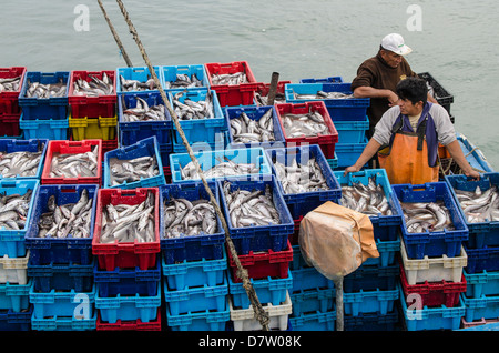 I pescatori di sardine in Los Organos villaggio nei pressi di mancora, Perù, Sud America Foto Stock