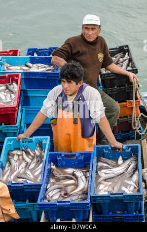 I pescatori di sardine in Los Organos villaggio nei pressi di mancora, Perù, Sud America Foto Stock