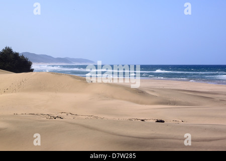 La spiaggia, Santa Lucia le zone umide, Kwa-Zulu Natal, Sud Africa Foto Stock