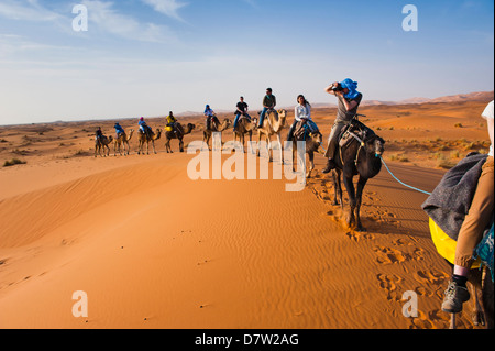 I turisti in una corsa in cammello nel Erg Chebbi Desert, Sahara Deserto vicino a Merzouga, Marocco, Africa del Nord Foto Stock