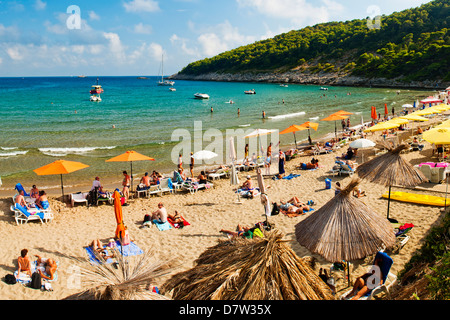 Sunj Beach, una popolare spiaggia di sabbia sulla isola di Lopud, isole Elafiti (Elaphites), costa dalmata, Mare Adriatico, Croazia Foto Stock