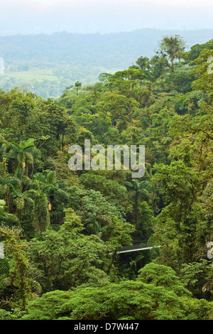 Giungla di Arenal ponti pensili dove foresta pluviale è accessibile tramite passaggi pedonali, La Fortuna, provincia di Alajuela, Costa Rica Foto Stock