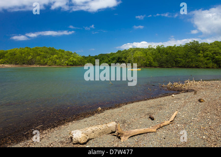 Vista attraverso il Fiume Nosara bocca verso la riserva biologica, Nosara, Nicoya peninsula, provincia di Guanacaste, Costa Rica Foto Stock