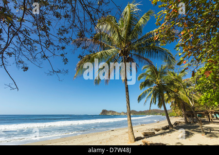 La sabbia bianca della spiaggia orlata di palme a rilassato villaggio e resort, Samara, Nicoya peninsula, provincia di Guanacaste, Costa Rica Foto Stock