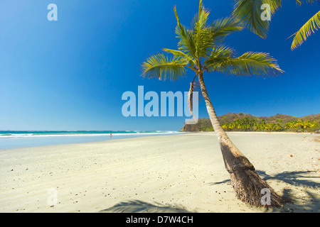 La sabbia bianca della spiaggia orlata di palme a rilassato villaggio e resort, Samara, Nicoya peninsula, provincia di Guanacaste, Costa Rica Foto Stock