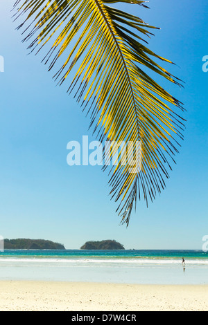 La sabbia bianca della spiaggia orlata di palme in questo rilassato villaggio & resort; Samara, provincia di Guanacaste, Nicoya peninsula, Costa Rica Foto Stock