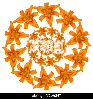 Tiger lily pattern su sfondo bianco Foto Stock