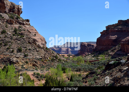 Pietra arenaria rossa rupe del Colorado Plateau. Moab, Utah, Stati Uniti d'America. Foto Stock