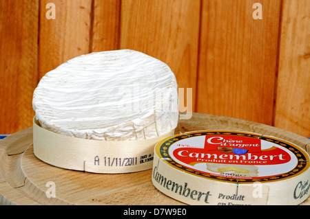 Tutto il camembert francese in un round in una scatola di legno. Foto Stock