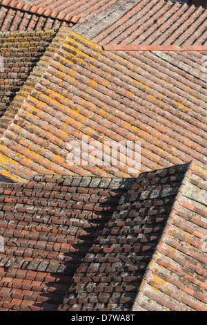 Il lichen moss sul tetto di tegole sulla proprietà immobiliare in Lucca, Toscana, Italia Foto Stock