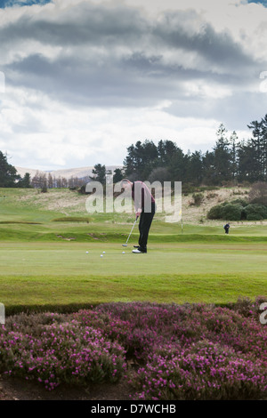 La pratica del golf sul green. GlenEagles Regno Unito Scozia Foto Stock