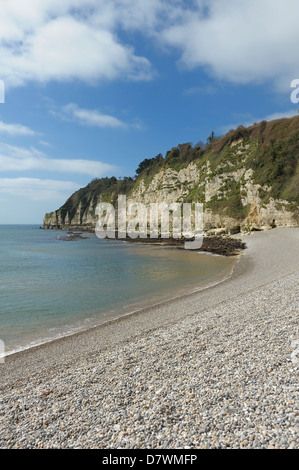 Una spiaggia ghiaiosa birra Devon England Regno Unito Foto Stock