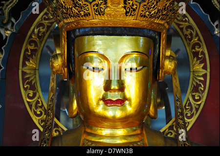 Asia Malaysia Penang statua di Buddha nel Kek Lok Si tempio buddista Foto Stock