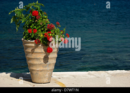 Grande Vaso con il rosso dei gerani al molo a sunny giorno d'estate. Foto Stock