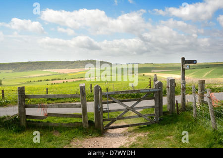 Un cancello sulla South Downs Way e costeggia la strada Bostal vicino a Steyning Bowl - South Downs National Park. Foto Stock