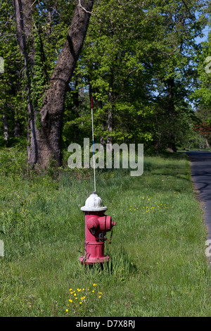 Idrante di fuoco sulla strada di un paese. Foto Stock