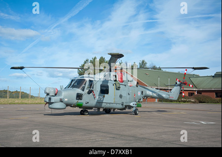 WS Lynx HMA8SRU RN n. 815 NAS, HQ Flt, Yeovilton. Somerset Serial ZD260. SCO 9105 Foto Stock