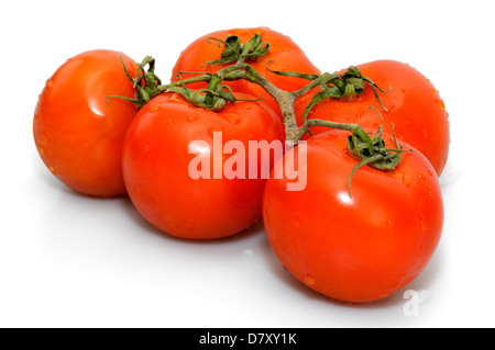 Organici di pomodori rossi sulla vite su sfondo bianco Foto Stock