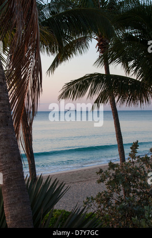 Una spiaggia visto attraverso gli alberi di palma. Foto Stock