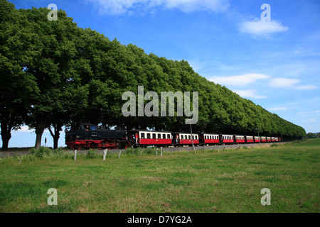 Treno a vapore Molli tra Bad Doberan e Heiligendamm, Mar Baltico, Mecklenburg, Germania Foto Stock