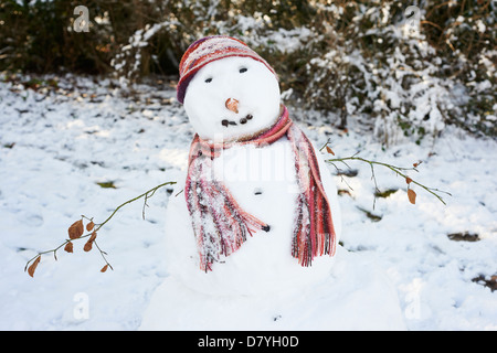 Pupazzo di neve indossando sciarpa e hat Foto Stock