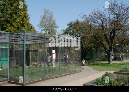 Pittville Park voliera Cheltenham Gloucestershire England Regno Unito Foto Stock