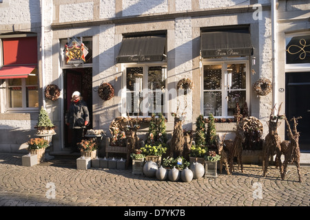 Fiore e giardino negozio di articoli di decorazione a Maastricht Paesi Bassi il freddo e la giornata di sole nel mese di dicembre Foto Stock