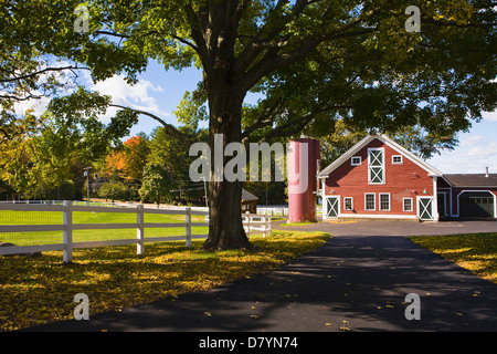 Fattoria in autunno, Topsfield, Massachusetts, STATI UNITI D'AMERICA Foto Stock