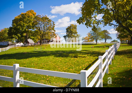 Fattoria in autunno, Topsfield, Massachusetts, STATI UNITI D'AMERICA Foto Stock