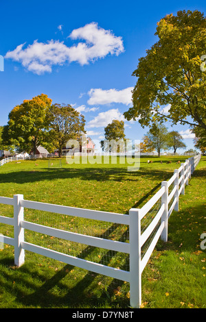 Fattoria in autunno, Topsfield, Massachusetts, STATI UNITI D'AMERICA Foto Stock