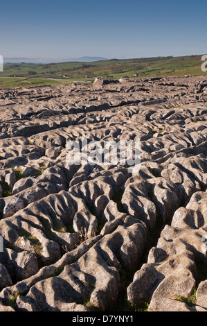 Vista sul deserto altopiano soleggiato pavimentazione di pietra calcarea, spettacolare caratteristica naturale alla sommità di Malham Cove - Malhamdale, Yorkshire Dales, Inghilterra, Regno Unito. Foto Stock