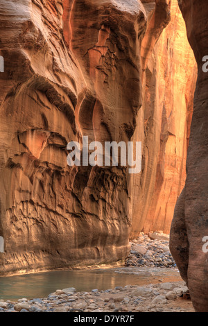 Stati Uniti d'America, Utah, Zion National Park, la si restringe, escursionista all'interno del canyon Foto Stock